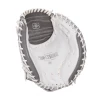 Clearance – Easton Professional Collection 34″ Jen Schroeder Fastpitch Catcher’s Mitt: RUDI2020